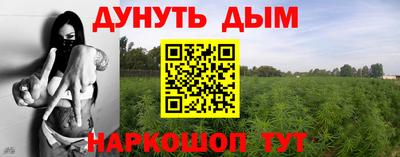 крисы Малоярославец