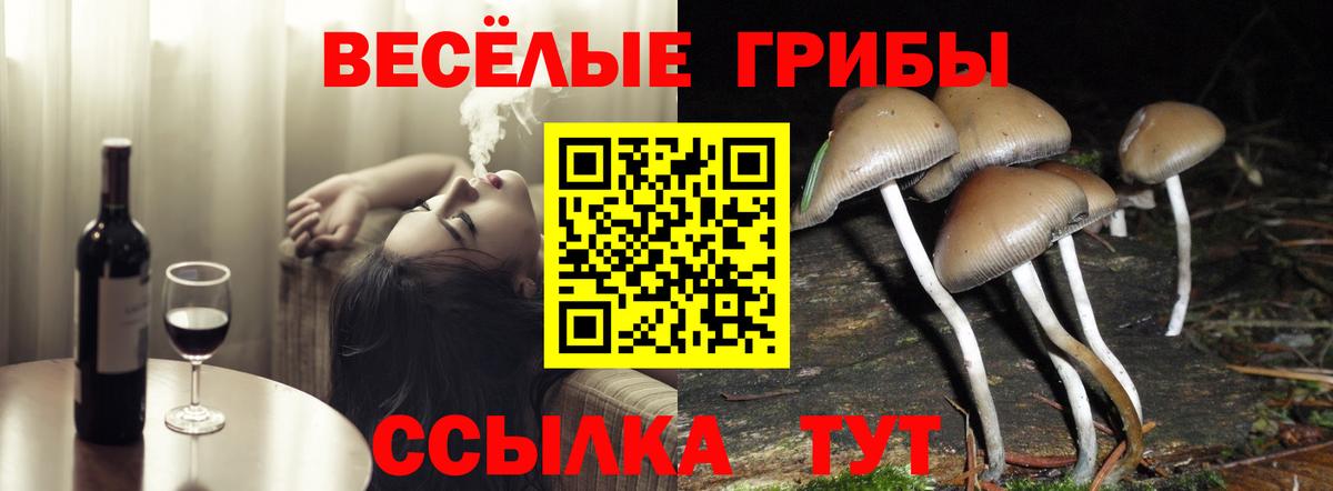Галлюциногенные грибы MAGIC MUSHROOMS Чебаркуль